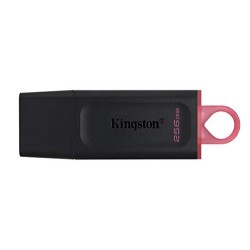 USB Stick 256GB Kingston...